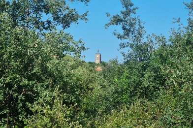 Terrain  184900 €