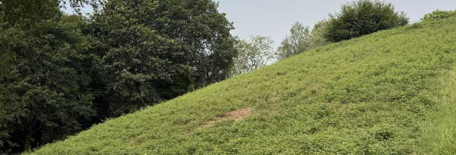 Terrain  2044 m² à vendre à Ance-Féas (64570)