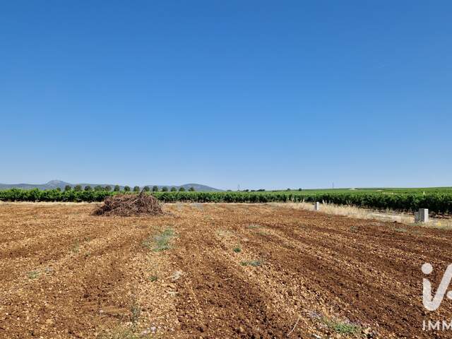 Vente Terrain 648 m&sup2; — photo du bien