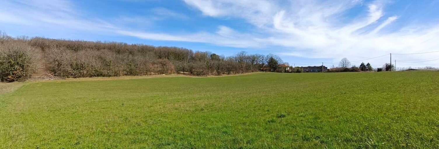 Terrain  9718 m² à vendre à Jayac (24590)