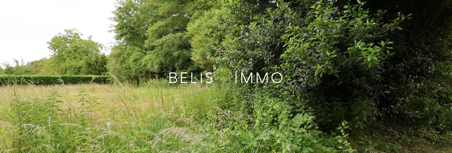 Terrain  485 m² à vendre à Cheillé (37190)
