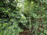 Nouveau: terrain constructible. — photo 2