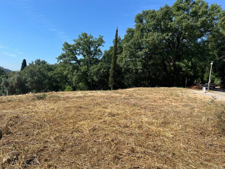 Terrain À Vendre — photo 1
