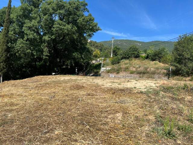 Terrain À Vendre — photo du bien