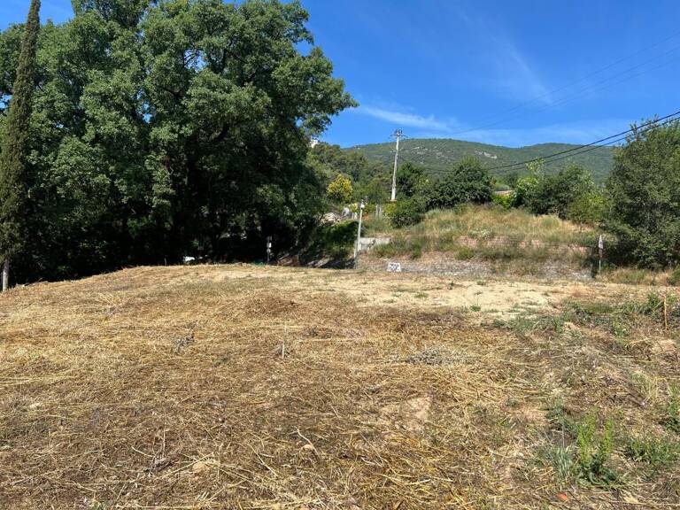 Terrain À Vendre — photo 1
