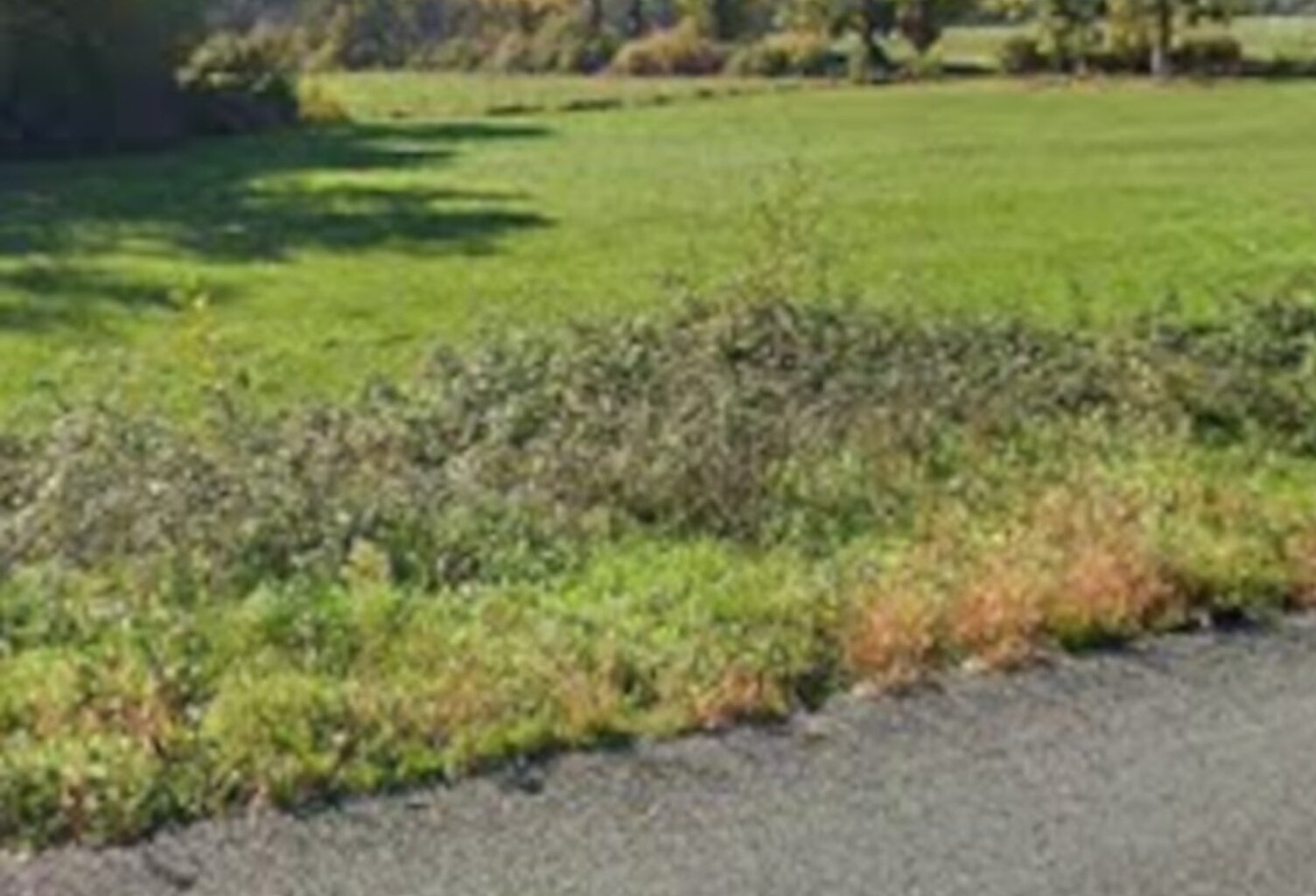 Terrain à bâtir à Saint-Genès-de-Fronsac (33240) — photo 1
