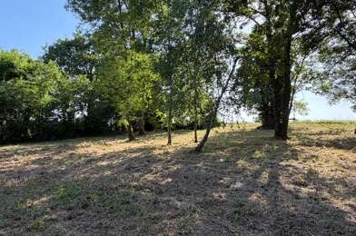Terrain  48500 €