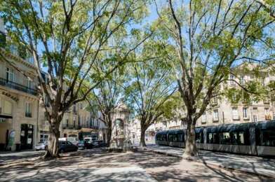 Appartement 2 pièces 994 €