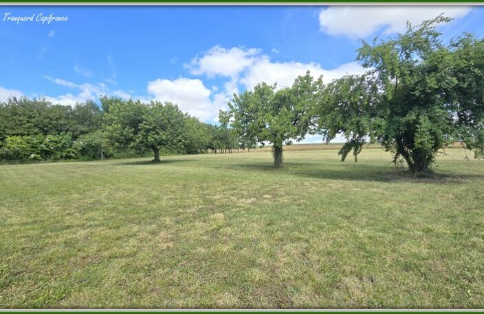 Maison FAMILIALE à vendre 8 pièces (226m²) à SAINT PIERRE DE JUILLERS (17) sur plus d'1 hectare de terrain avec HANGAR et DEPENDANCES — photo 4