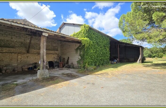 Maison FAMILIALE à vendre 8 pièces (226m²) à SAINT PIERRE DE JUILLERS (17) sur plus d'1 hectare de terrain avec HANGAR et DEPENDANCES — photo 5