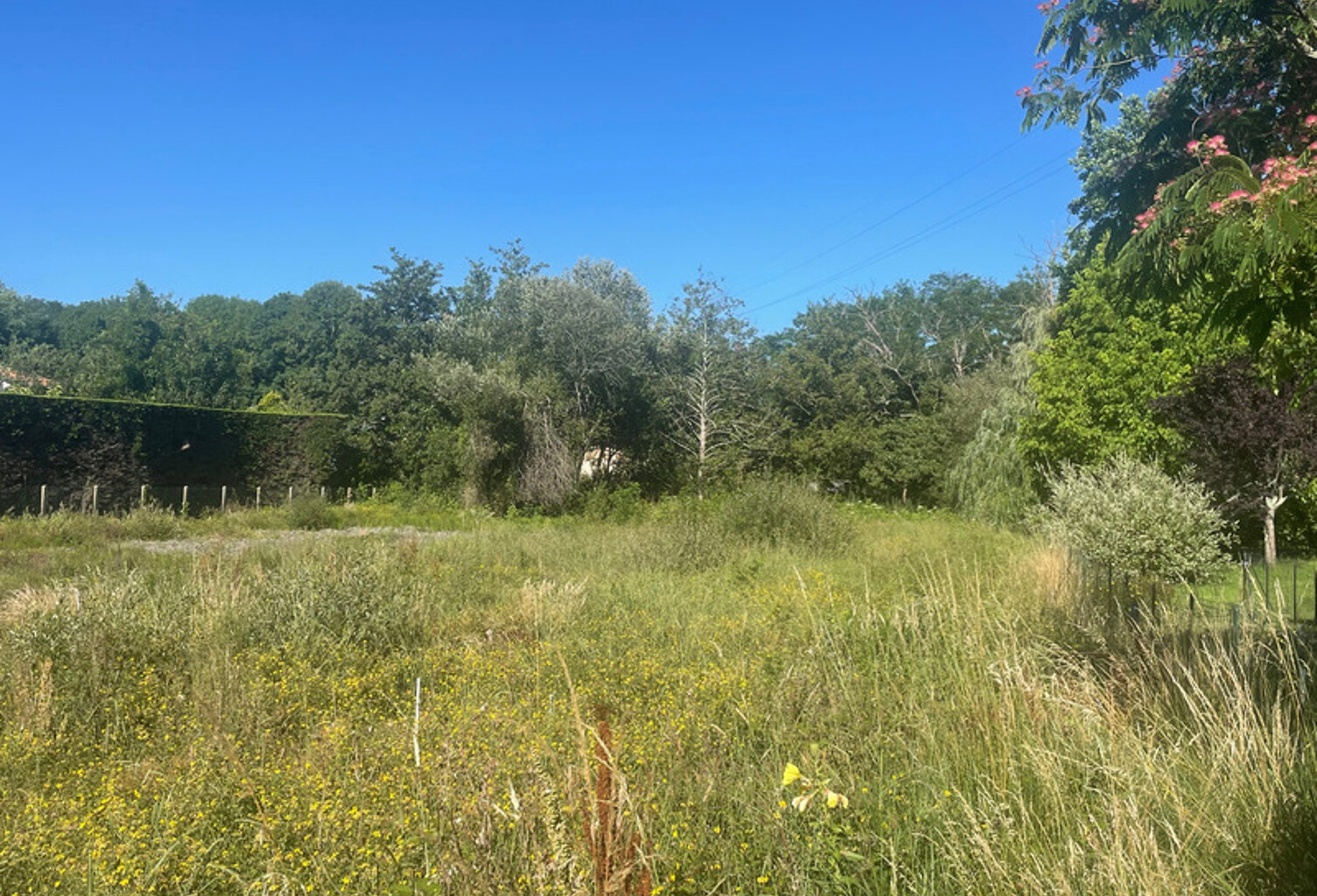 BIDART – RARES TERRAINS À BÂTIR DANS UN ENVIRONNEMENT PRIVILÉGIÉ — photo 1
