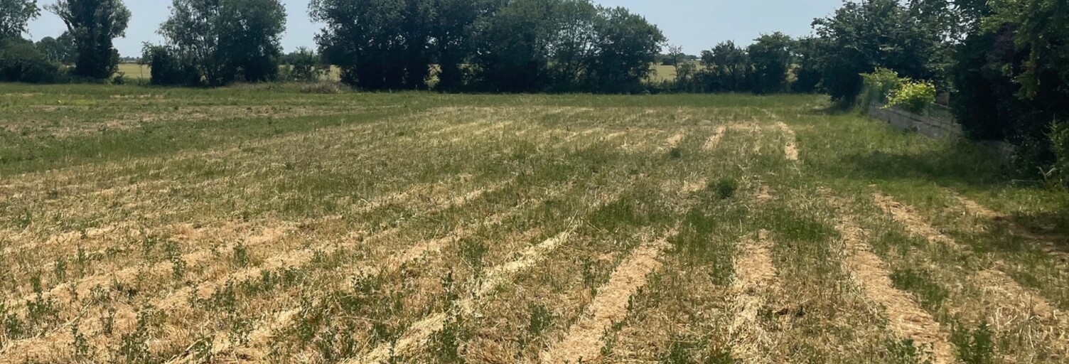 Terrain  1481 m² à vendre à Sainte-Radégonde-des-Noyers (85450)