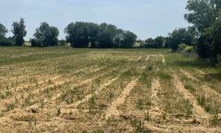 Terrain  1478 m² à vendre à Sainte-Radégonde-des-Noyers (85450)