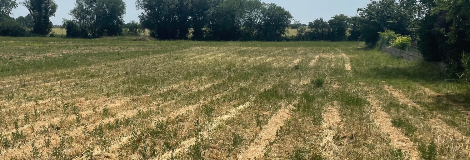 Terrain  1478 m² à vendre à Sainte-Radégonde-des-Noyers (85450)