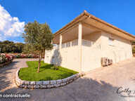 VIGGIANELLO (Corse) : Villa type T3 + appartement T2, grande terrasse, garage fermé et vaste atelier, proche plages et centre-ville — photo 2
