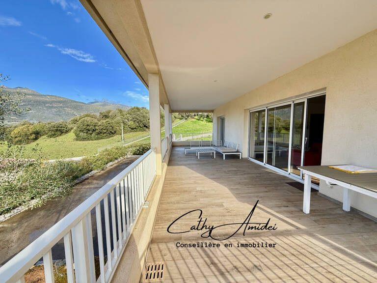 VIGGIANELLO (Corse) : Villa type T3 + appartement T2, grande terrasse, garage fermé et vaste atelier, proche plages et centre-ville — photo 1