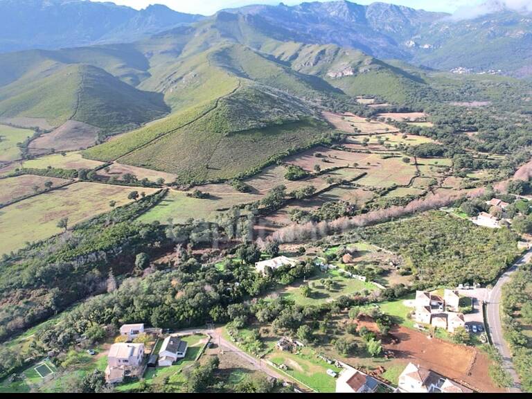 A vendre Terrain plat c0nstructible de 2362 m2 à PIETRACORBARA (Cap Corse) très proche de mer — photo 1