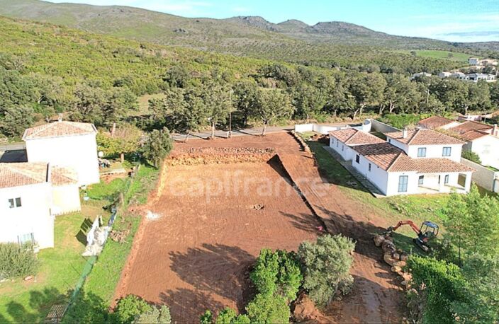 A vendre Terrain plat c0nstructible de 2362 m2 à PIETRACORBARA (Cap Corse) très proche de mer — photo 4