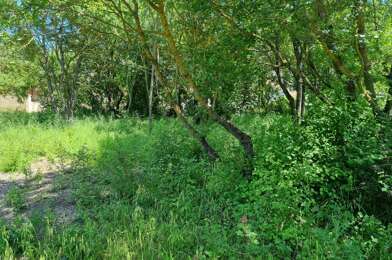 Terrain  225000 €