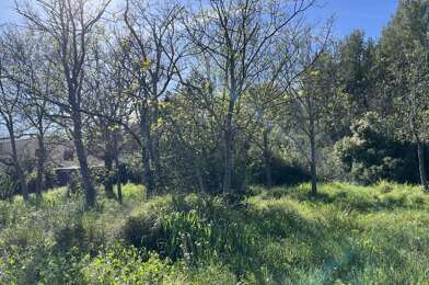 Terrain  345000 €