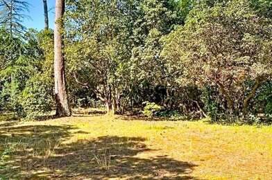 Terrain  977000 €