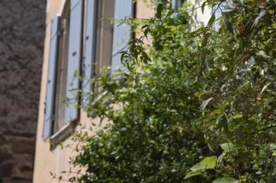 Appartement 3 pièces 532 €