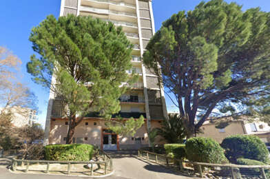 Appartement 3 pièces 569 €