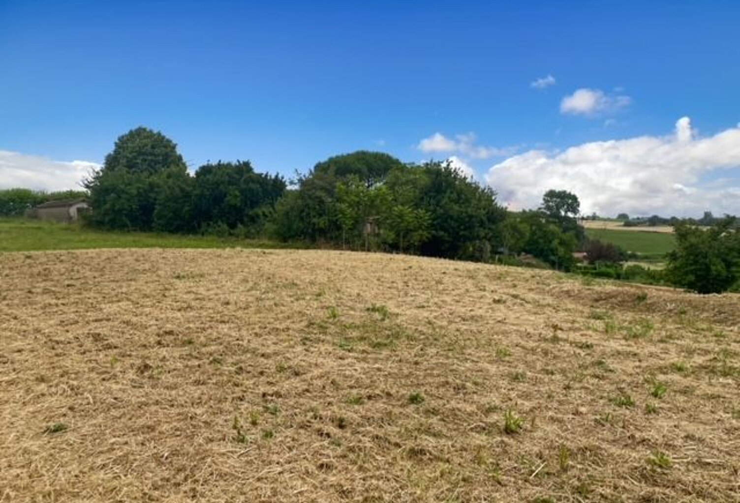 Terrain à bâtir à Montcabrier - Vue dégagée — photo 1