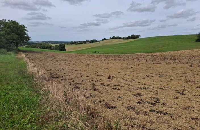 Terrain À Vendre — photo 3