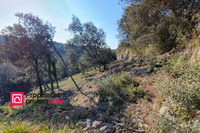 Terrain  260000 €