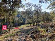 Terrain à 5km d'Uzès — photo 2