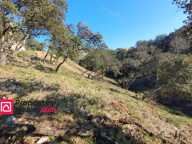 Terrain à 5km d'Uzès — photo 4