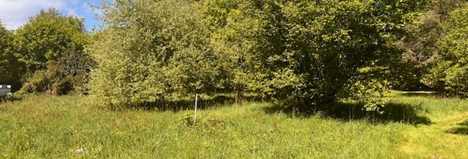 Terrain  536 m² à vendre à Savenay (44260)