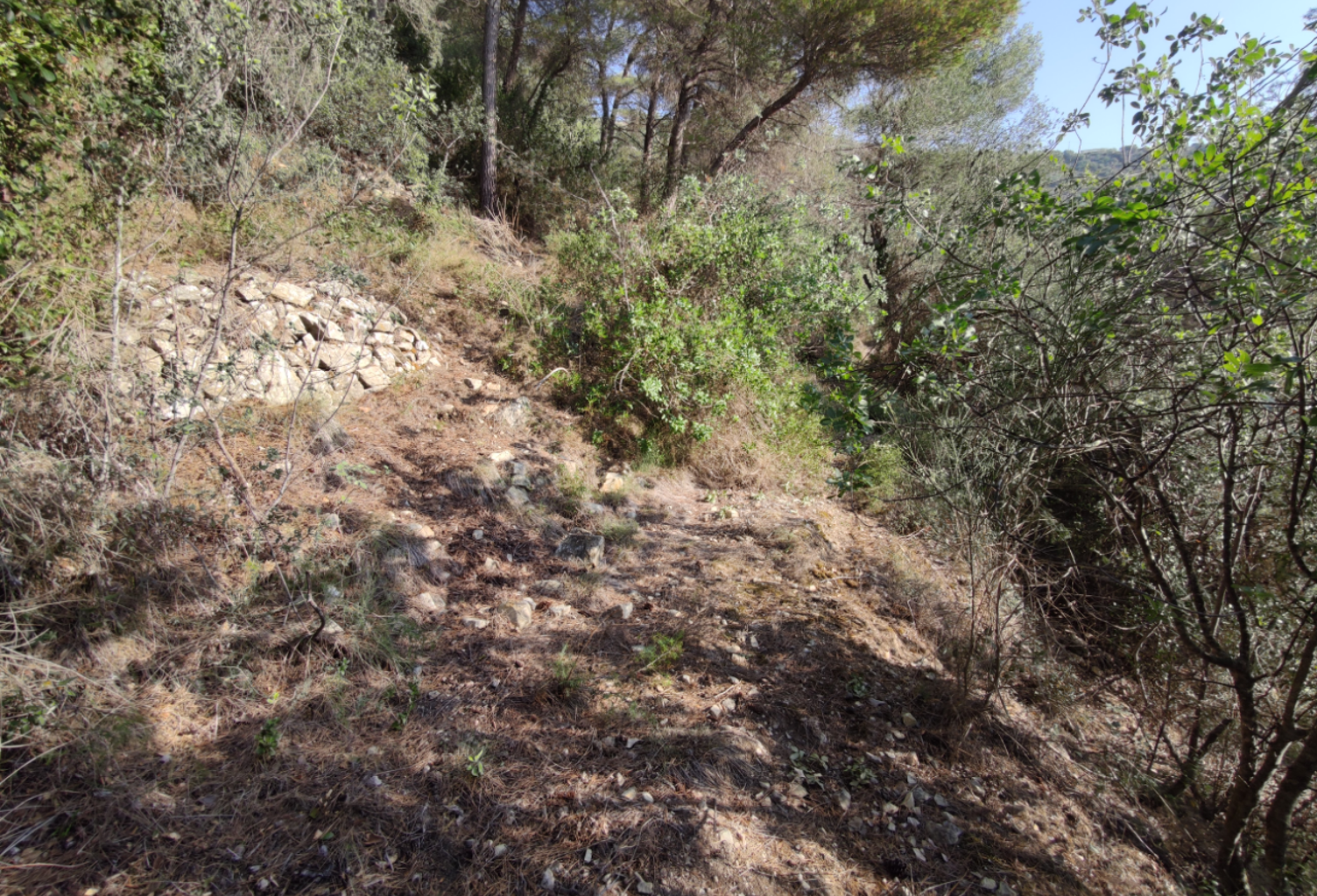 CANTARON terrain non constructible — photo 1