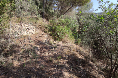 Terrain  20000 €