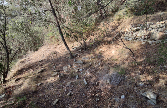 CANTARON terrain non constructible — photo 2