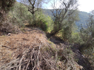 CANTARON terrain non constructible — photo 3