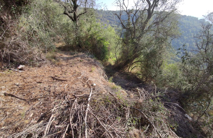 CANTARON terrain non constructible — photo 3