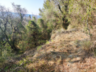 CANTARON terrain non constructible — photo 4