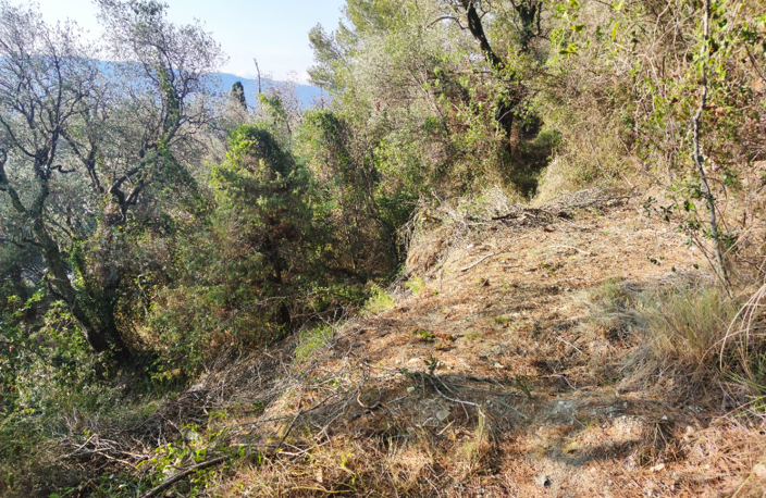 CANTARON terrain non constructible — photo 4