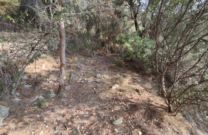 CANTARON terrain non constructible — photo 5