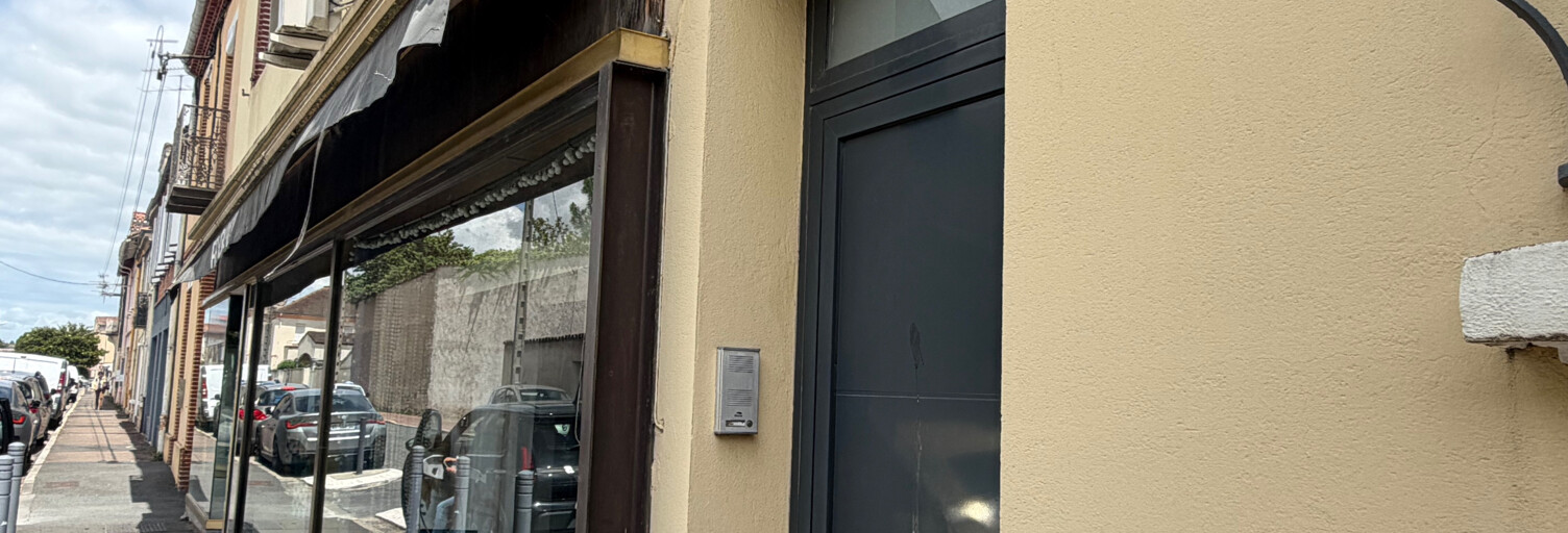 Maison 7 Pièces 250 m² à vendre à Albi (81000)