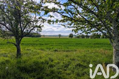 Terrain  60000 €