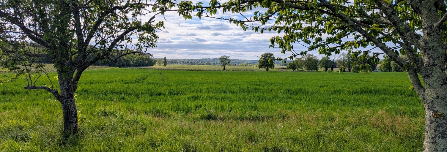 Terrain  2047 m² à vendre à Saint-Sauveur-de-Puynormand (33660)