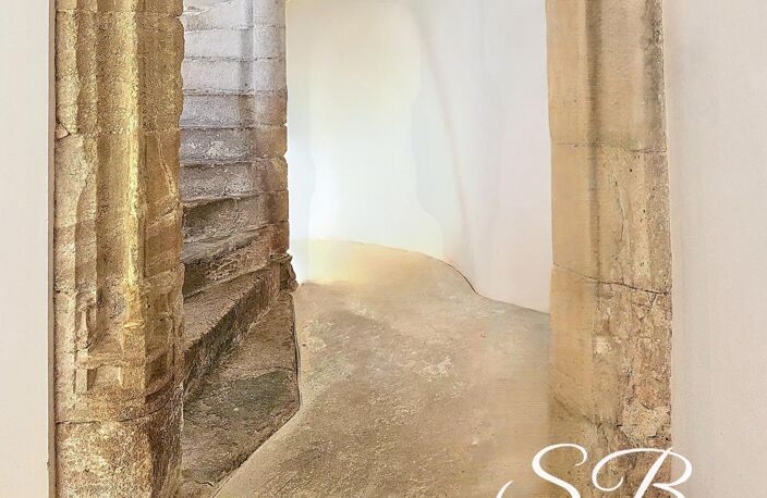 Demeure Seigneuriale unique  Un chef-d'œuvre d'Histoire et de Prestige — photo 3
