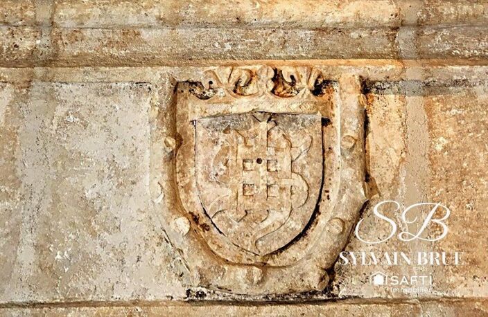 Demeure Seigneuriale unique  Un chef-d'œuvre d'Histoire et de Prestige — photo 5