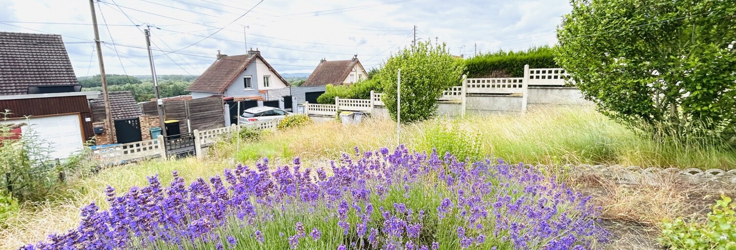 Photo N° 2