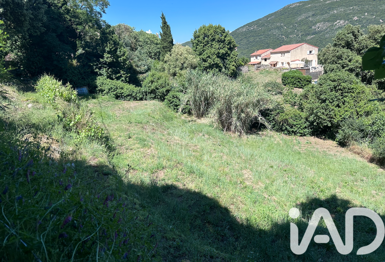 Vente Terrain à bâtir 1 016 m&sup2; — photo 1