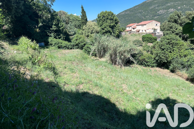 Terrain  162000 €