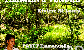 Terrain  2413 m² à vendre à Saint-Louis (97450)